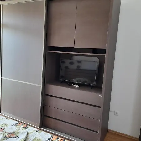 Apolonia Cata Si Miha *