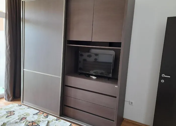 Apolonia Cata Si Miha *